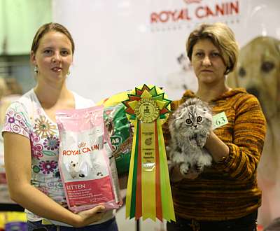 �������� ����� '���-�����-��������' 20-21 �������� 14-263-169A2440 copy.jpg